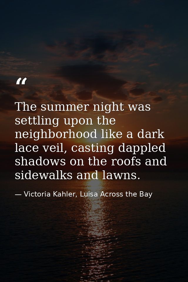 The summer night was settling upon the neighborhood like a dark lace veil, casting dappled shadows on the roofs and side — Victoria Kahler, Luisa Across the Bay