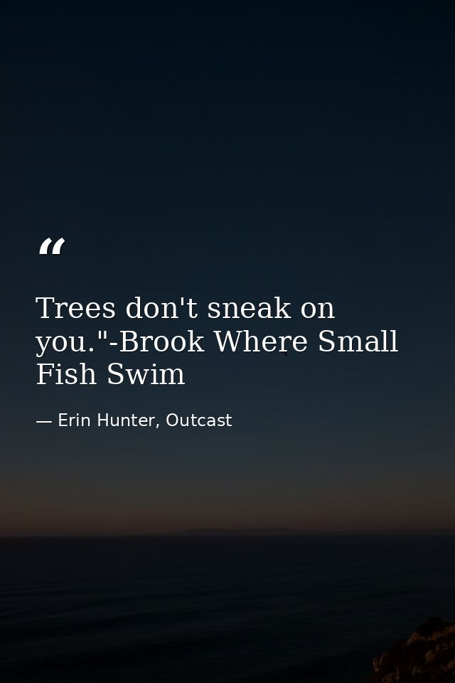 Trees don't sneak on you."-Brook Where Small Fish Swim — Erin Hunter, Outcast