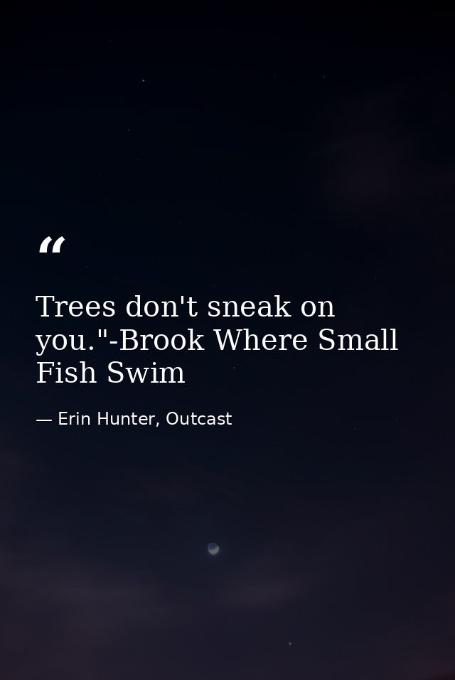 Trees don't sneak on you."-Brook Where Small Fish Swim — Erin Hunter, Outcast
