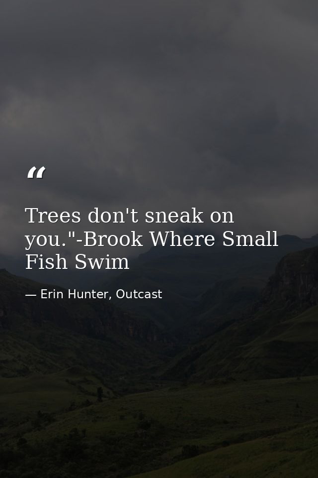 Trees don't sneak on you."-Brook Where Small Fish Swim — Erin Hunter, Outcast