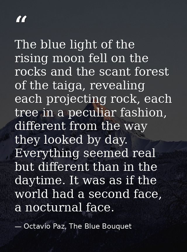 The blue light of the rising moon fell on the rocks and the scant forest of the taiga, revealing each projecting rock, e — Octavio Paz, The Blue Bouquet
