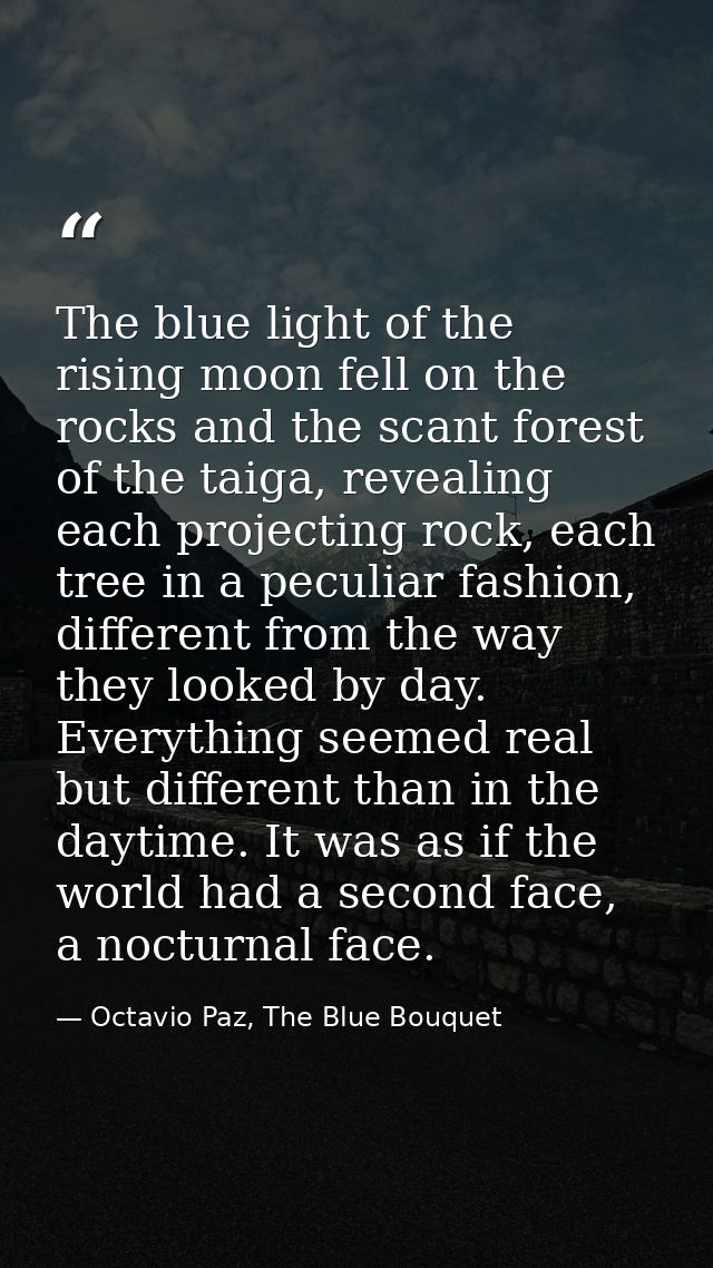 The blue light of the rising moon fell on the rocks and the scant forest of the taiga, revealing each projecting rock, e — Octavio Paz, The Blue Bouquet