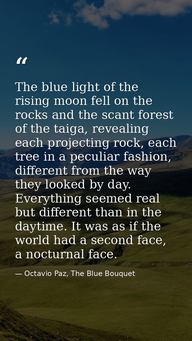 The blue light of the rising moon fell on the rocks and the scant forest of the taiga, revealing each projecting rock, e — Octavio Paz, The Blue Bouquet
