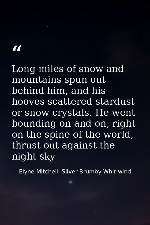 Long miles of snow and mountains spun out behind him, and his hooves scattered stardust or snow crystals. He went boundi — Elyne Mitchell, Silver Brumby Whirlwind