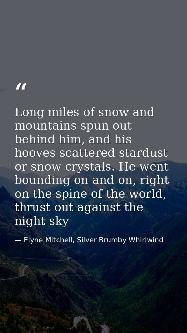 Long miles of snow and mountains spun out behind him, and his hooves scattered stardust or snow crystals. He went boundi — Elyne Mitchell, Silver Brumby Whirlwind