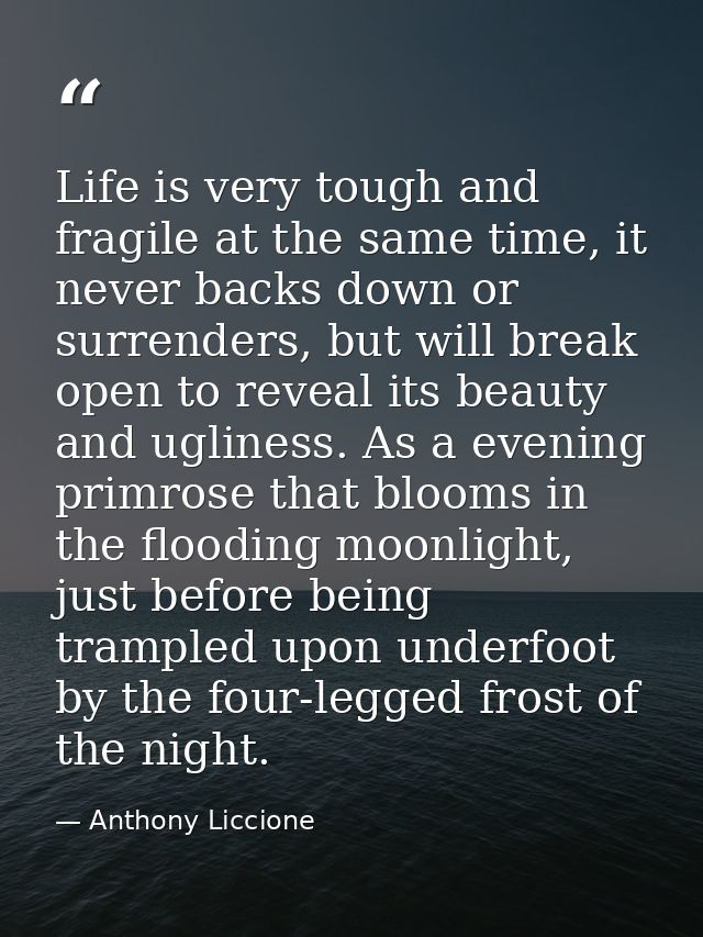 Life is very tough and fragile at the same time, it never backs down or surrenders, but will break open to reveal its be — Anthony Liccione