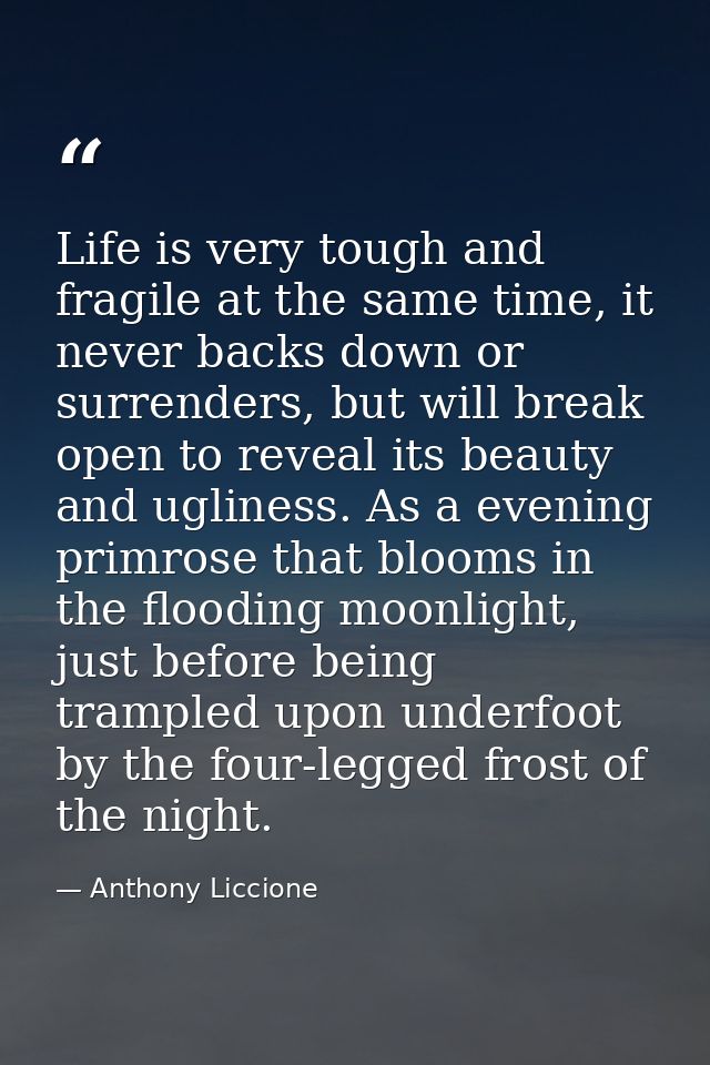 Life is very tough and fragile at the same time, it never backs down or surrenders, but will break open to reveal its be — Anthony Liccione