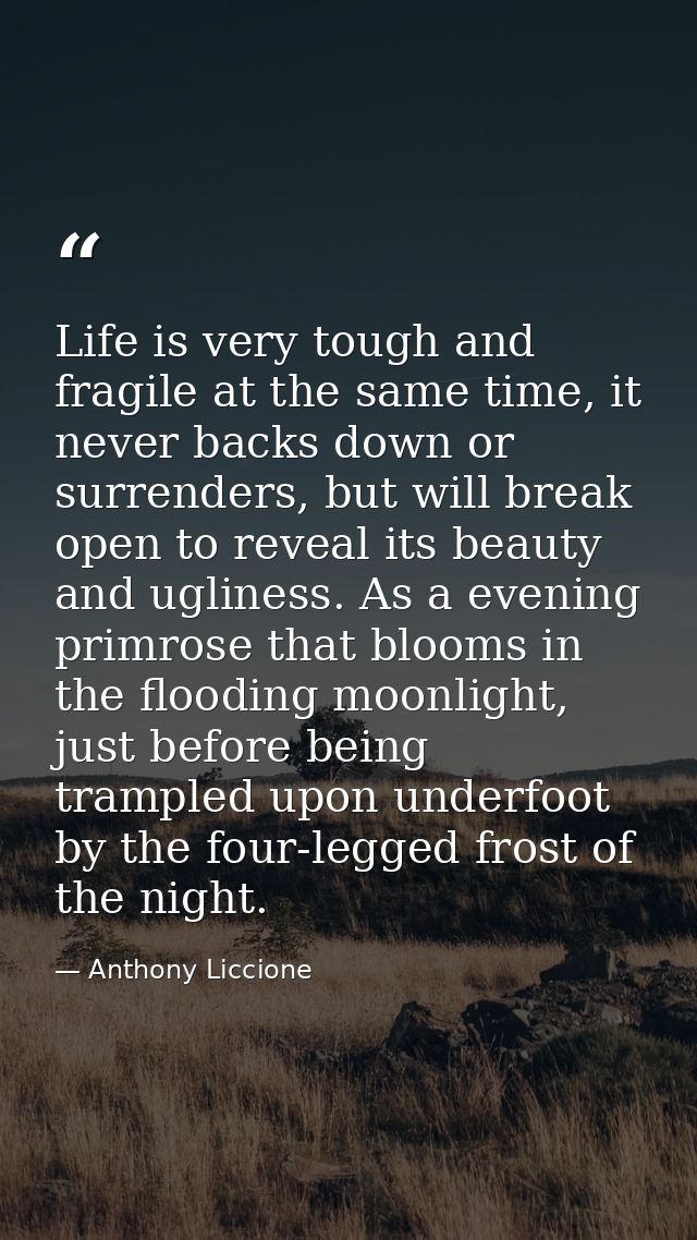 Life is very tough and fragile at the same time, it never backs down or surrenders, but will break open to reveal its be — Anthony Liccione