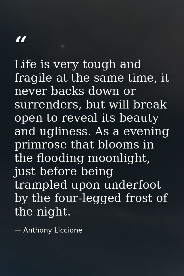Life is very tough and fragile at the same time, it never backs down or surrenders, but will break open to reveal its be — Anthony Liccione