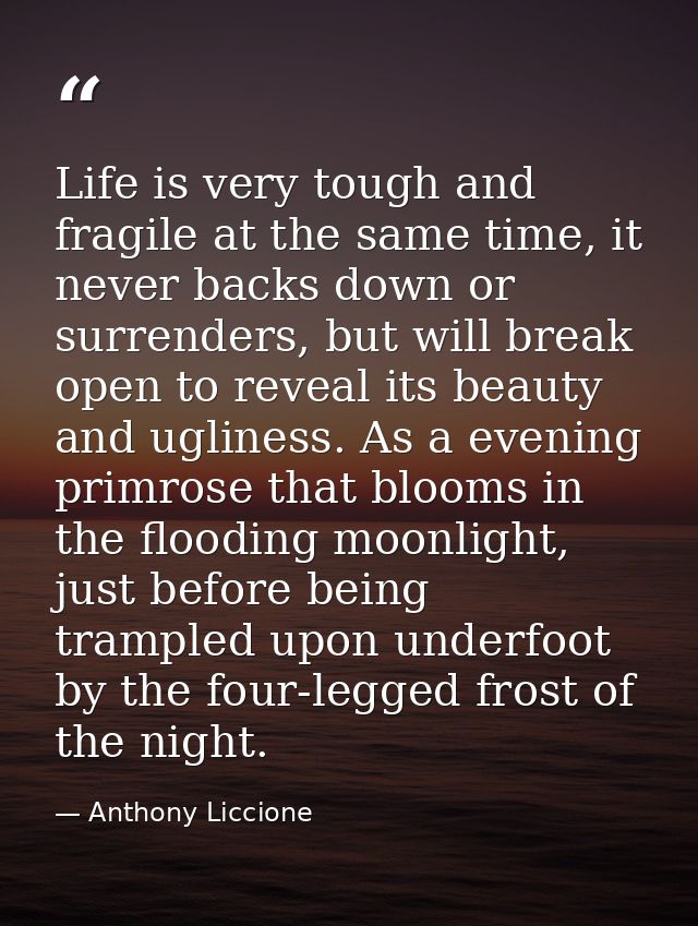 Life is very tough and fragile at the same time, it never backs down or surrenders, but will break open to reveal its be — Anthony Liccione