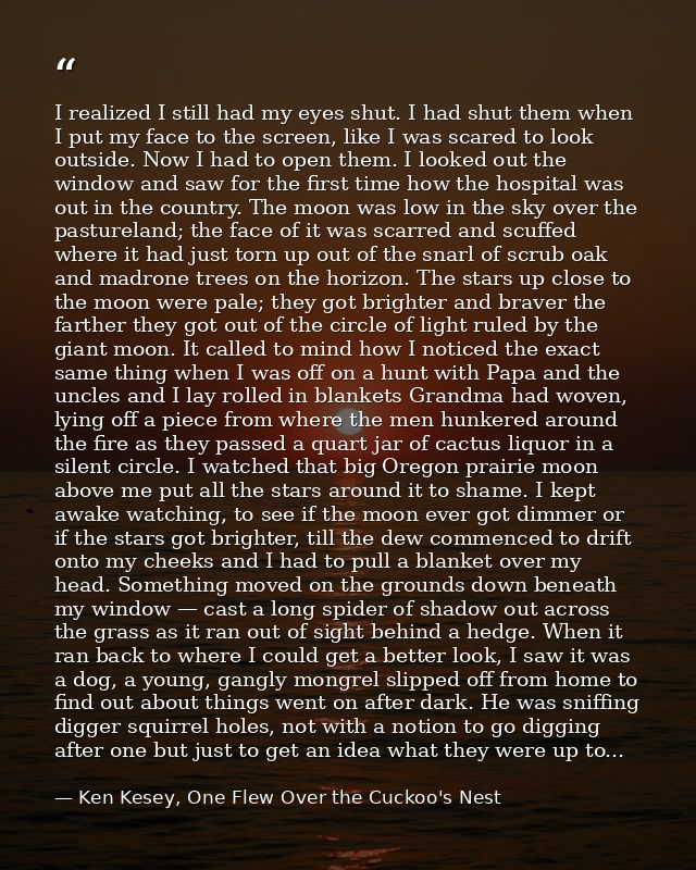 I realized I still had my eyes shut. I had shut them when I put my face to the screen, like I was scared to look outside — Ken Kesey, One Flew Over the Cuckoo's Nest