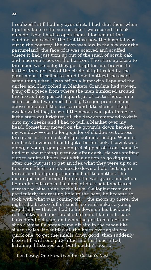 I realized I still had my eyes shut. I had shut them when I put my face to the screen, like I was scared to look outside — Ken Kesey, One Flew Over the Cuckoo's Nest