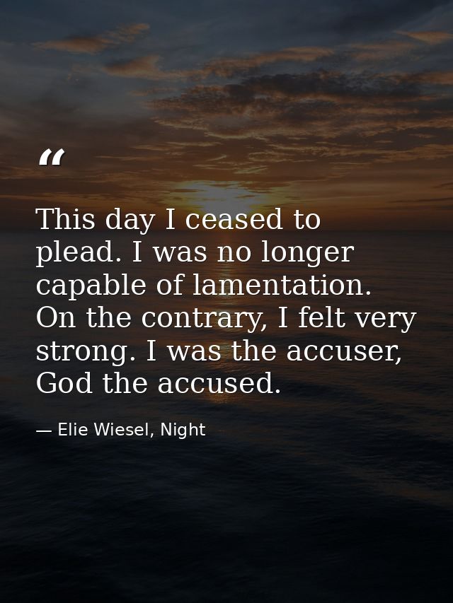 This day I ceased to plead. I was no longer capable of lamentation. On the contrary, I felt very strong. I was the accus — Elie Wiesel, Night
