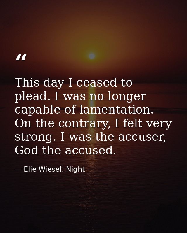 This day I ceased to plead. I was no longer capable of lamentation. On the contrary, I felt very strong. I was the accus — Elie Wiesel, Night