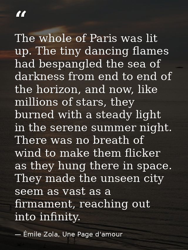 The whole of Paris was lit up. The tiny dancing flames had bespangled the sea of darkness from end to end of the horizon — Émile Zola, Une Page d'amour