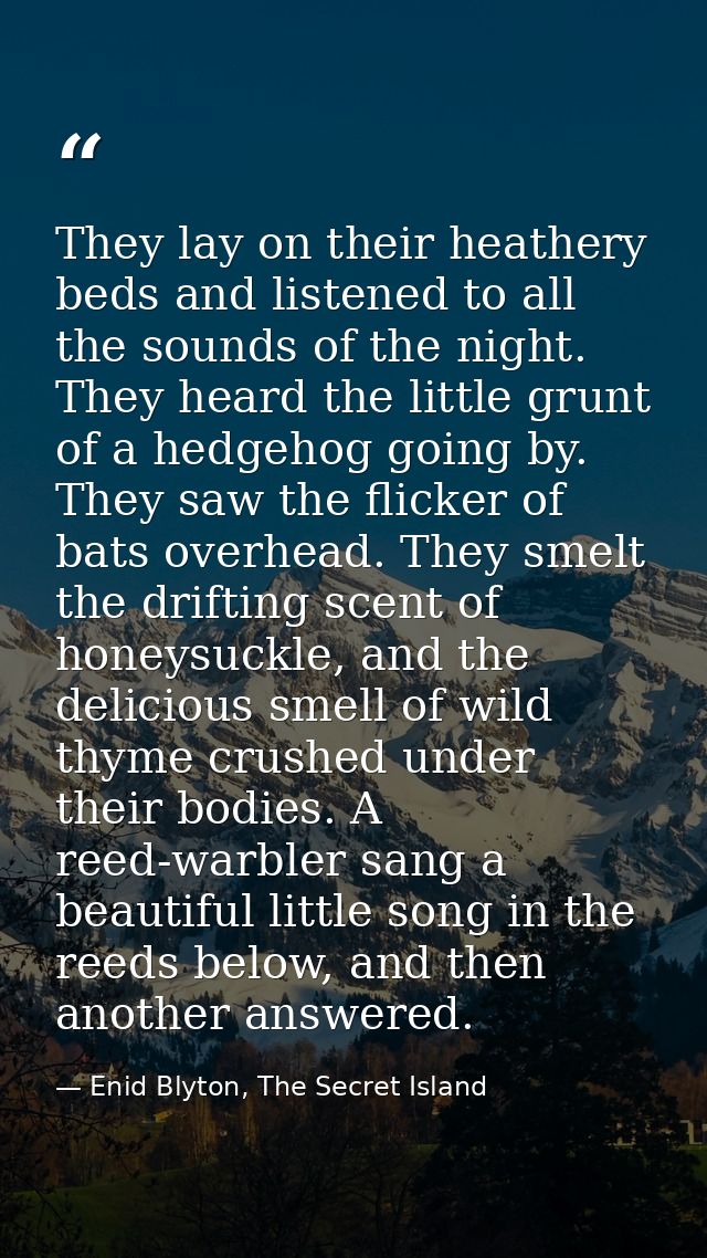 They lay on their heathery beds and listened to all the sounds of the night. They heard the little grunt of a hedgehog g — Enid Blyton, The Secret Island