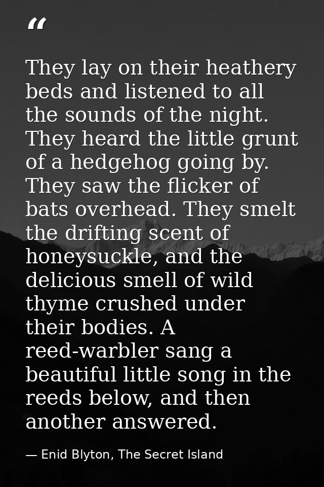 They lay on their heathery beds and listened to all the sounds of the night. They heard the little grunt of a hedgehog g — Enid Blyton, The Secret Island
