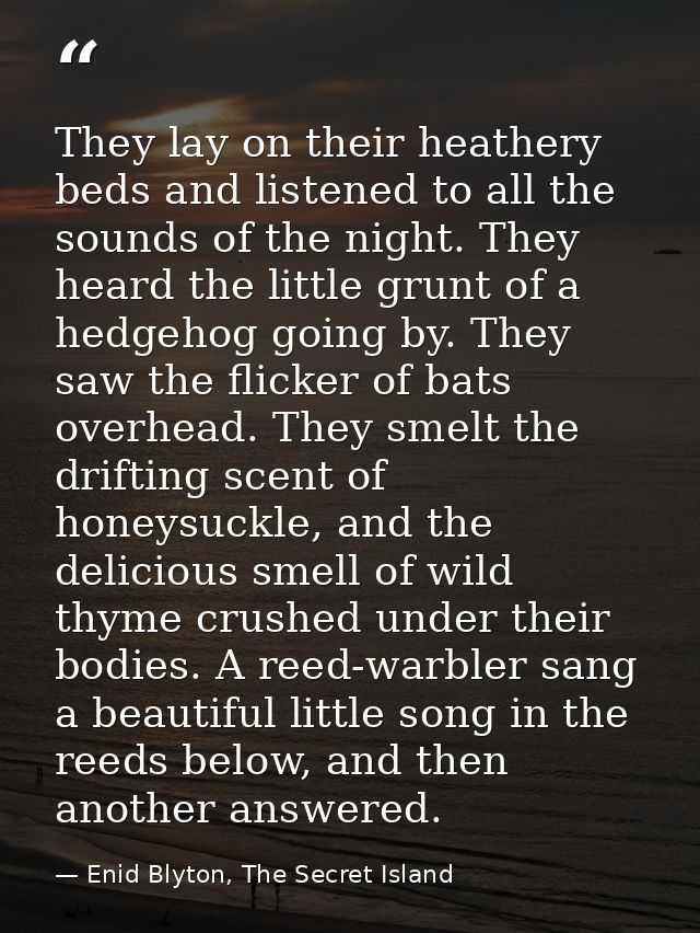 They lay on their heathery beds and listened to all the sounds of the night. They heard the little grunt of a hedgehog g — Enid Blyton, The Secret Island
