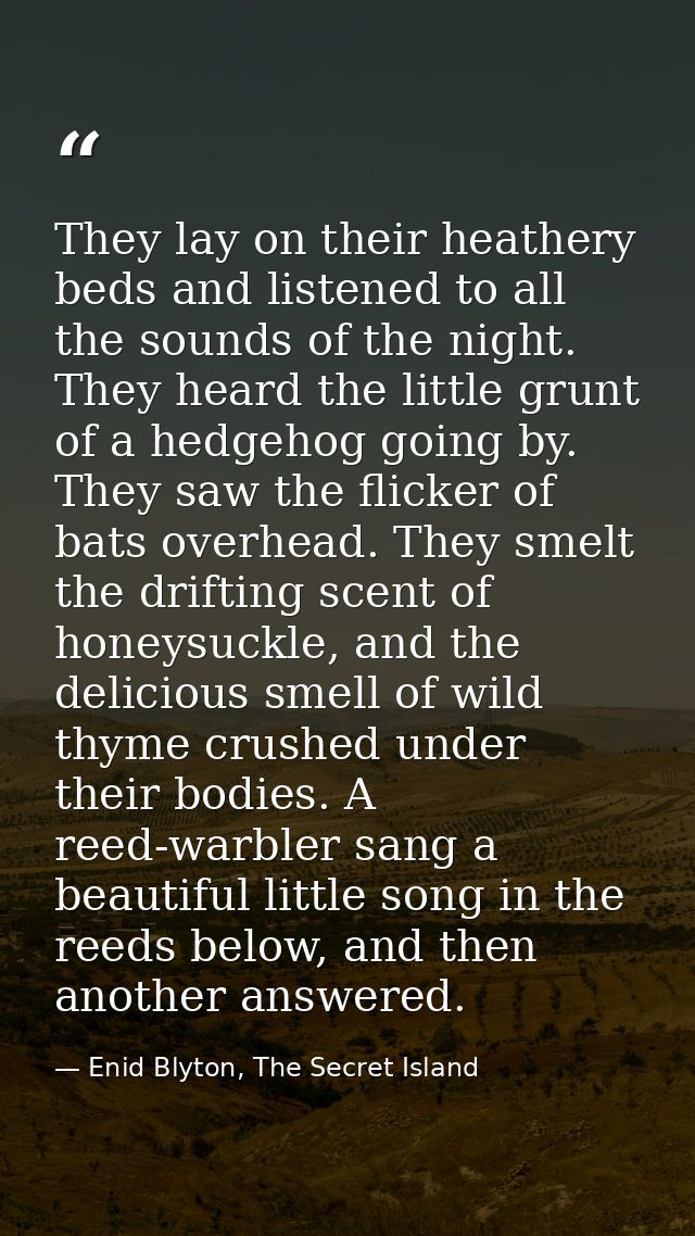 They lay on their heathery beds and listened to all the sounds of the night. They heard the little grunt of a hedgehog g — Enid Blyton, The Secret Island