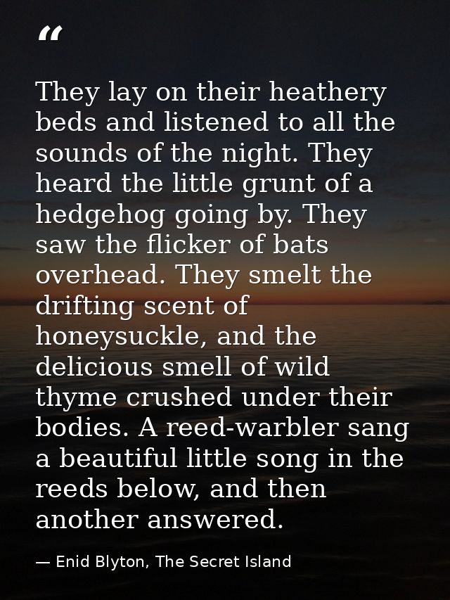 They lay on their heathery beds and listened to all the sounds of the night. They heard the little grunt of a hedgehog g — Enid Blyton, The Secret Island