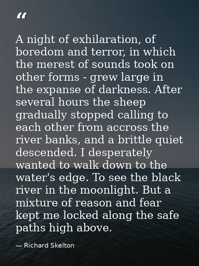 A night of exhilaration, of boredom and terror, in which the merest of sounds took on other forms - grew large in the ex — Richard Skelton