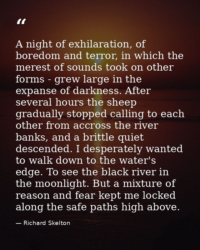 A night of exhilaration, of boredom and terror, in which the merest of sounds took on other forms - grew large in the ex — Richard Skelton