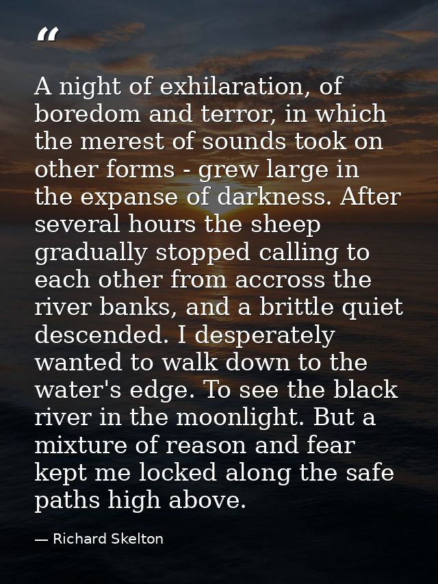 A night of exhilaration, of boredom and terror, in which the merest of sounds took on other forms - grew large in the ex — Richard Skelton
