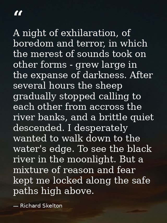 A night of exhilaration, of boredom and terror, in which the merest of sounds took on other forms - grew large in the ex — Richard Skelton