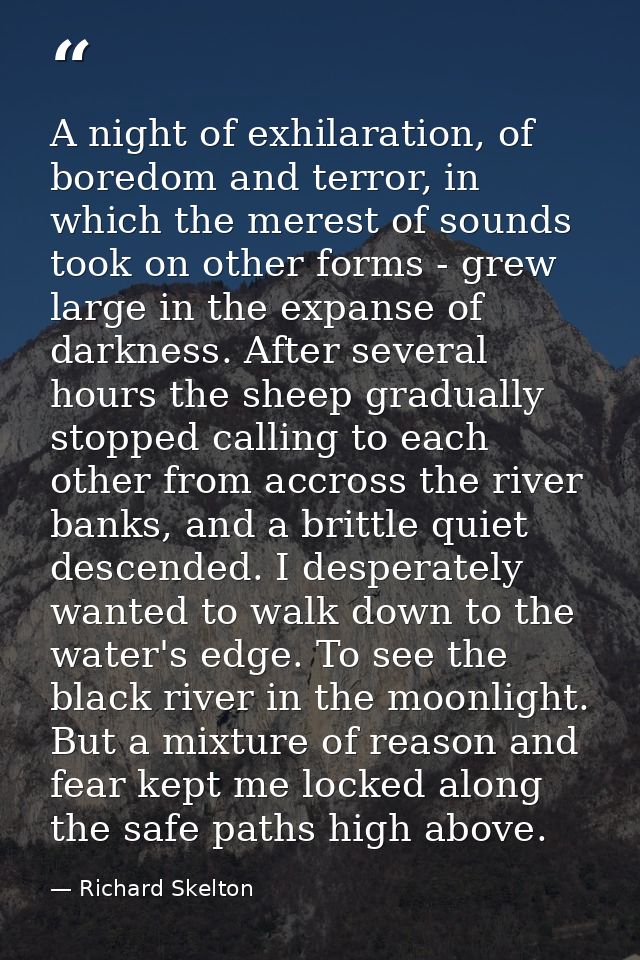 A night of exhilaration, of boredom and terror, in which the merest of sounds took on other forms - grew large in the ex — Richard Skelton