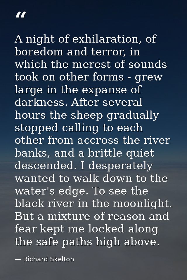 A night of exhilaration, of boredom and terror, in which the merest of sounds took on other forms - grew large in the ex — Richard Skelton
