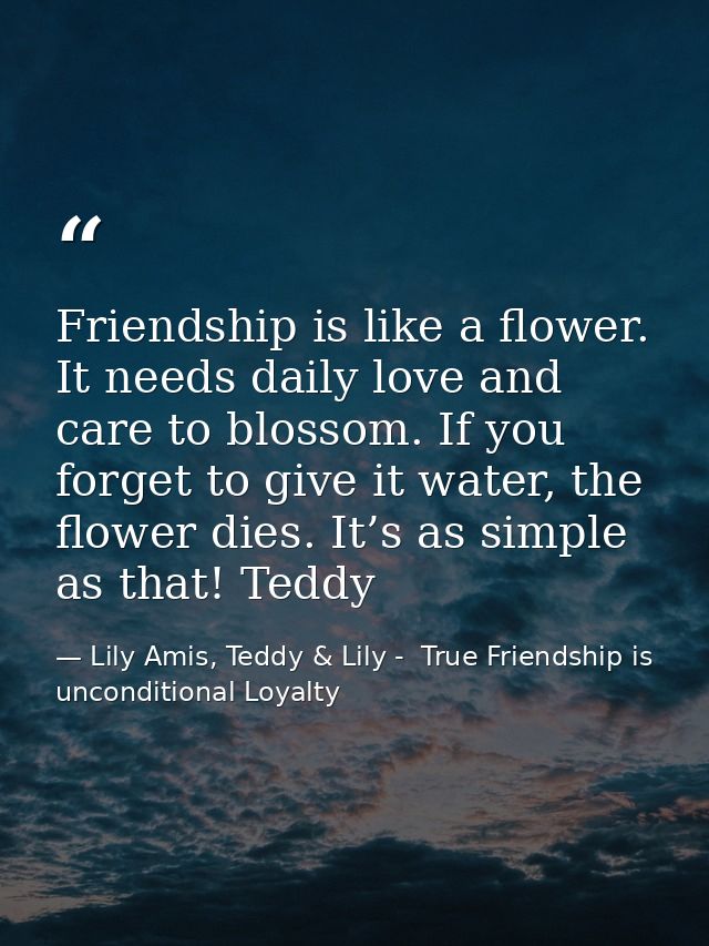 Friendship is like a flower. It needs daily love and care to blossom. If you forget to give it water, the flower dies. I — Lily Amis, Teddy & Lily -  True Friendship is unconditional Loyalty