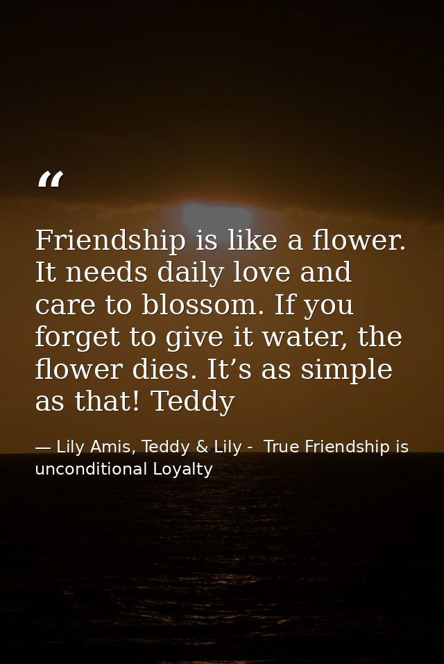 Friendship is like a flower. It needs daily love and care to blossom. If you forget to give it water, the flower dies. I — Lily Amis, Teddy & Lily -  True Friendship is unconditional Loyalty