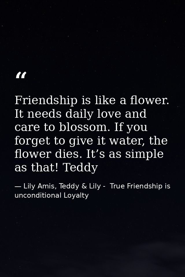 Friendship is like a flower. It needs daily love and care to blossom. If you forget to give it water, the flower dies. I — Lily Amis, Teddy & Lily -  True Friendship is unconditional Loyalty
