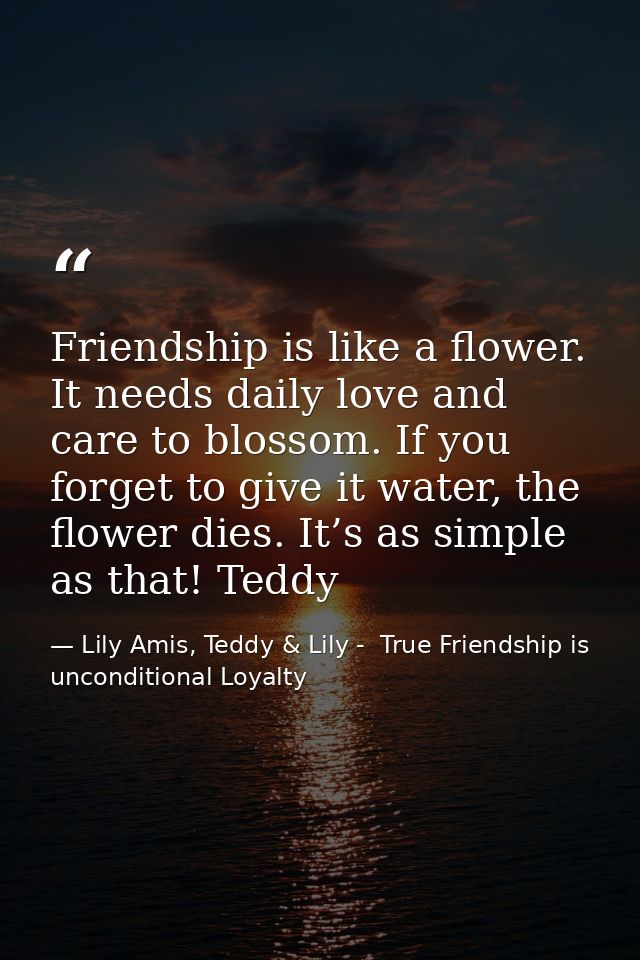 Friendship is like a flower. It needs daily love and care to blossom. If you forget to give it water, the flower dies. I — Lily Amis, Teddy & Lily -  True Friendship is unconditional Loyalty