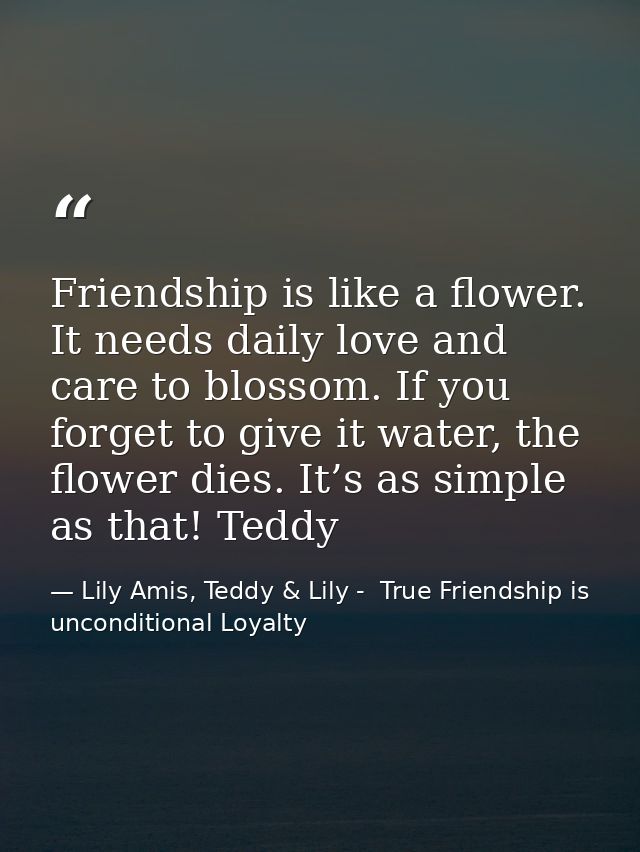 Friendship is like a flower. It needs daily love and care to blossom. If you forget to give it water, the flower dies. I — Lily Amis, Teddy & Lily -  True Friendship is unconditional Loyalty