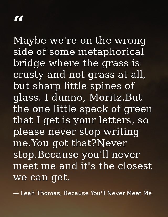 Maybe we're on the wrong side of some metaphorical bridge where the grass is crusty and not grass at all, but sharp litt — Leah Thomas, Because You'll Never Meet Me
