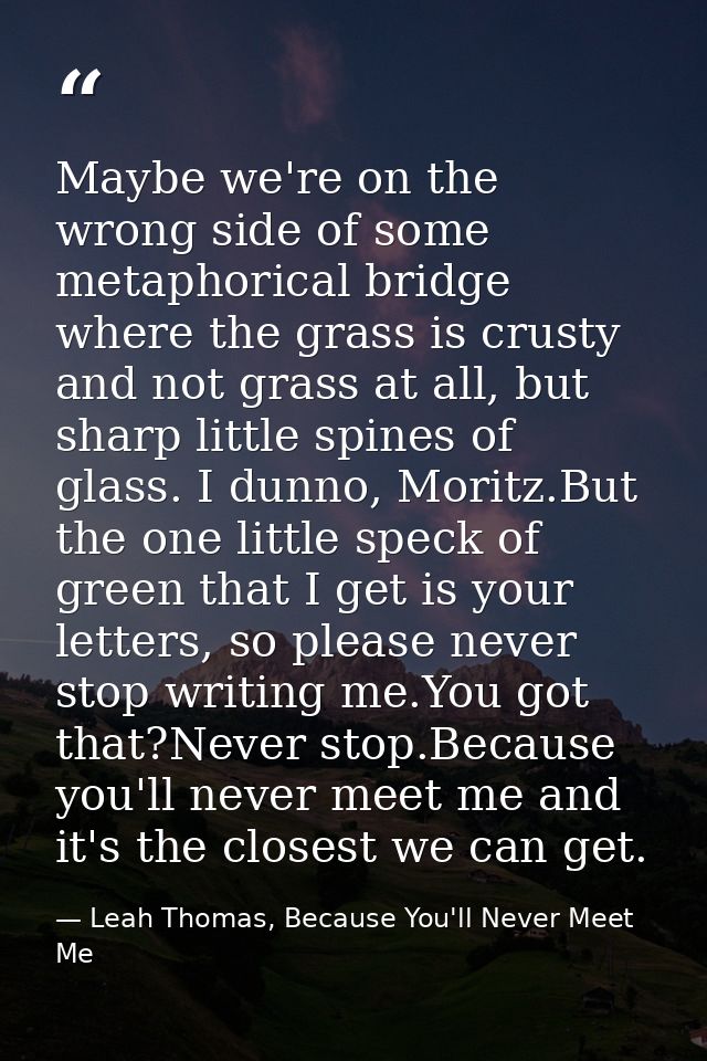 Maybe we're on the wrong side of some metaphorical bridge where the grass is crusty and not grass at all, but sharp litt — Leah Thomas, Because You'll Never Meet Me