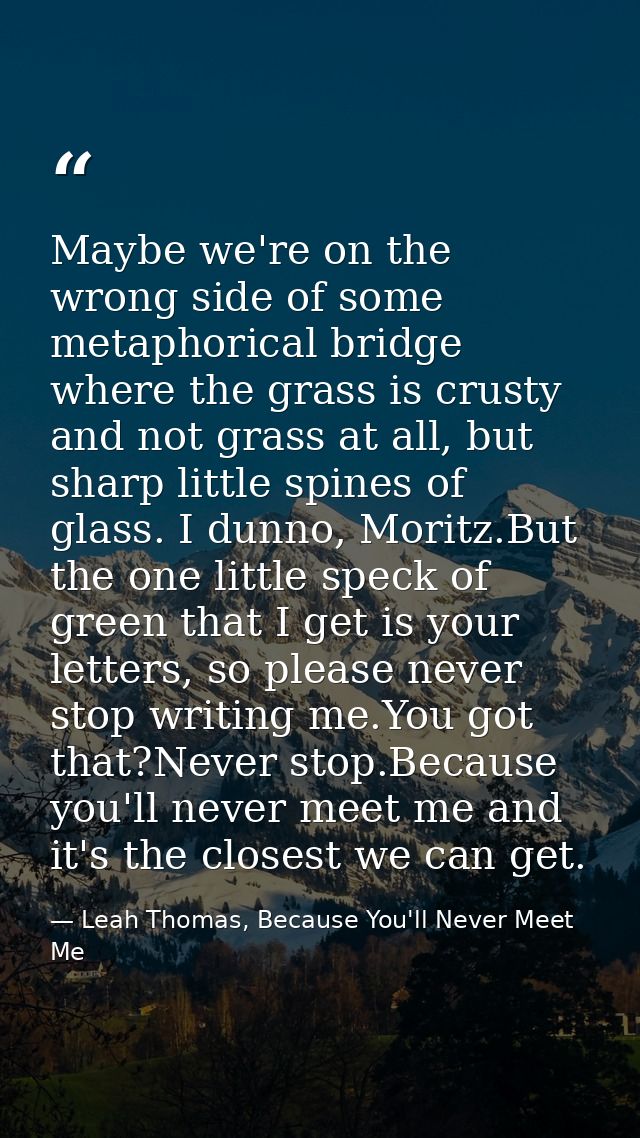 Maybe we're on the wrong side of some metaphorical bridge where the grass is crusty and not grass at all, but sharp litt — Leah Thomas, Because You'll Never Meet Me