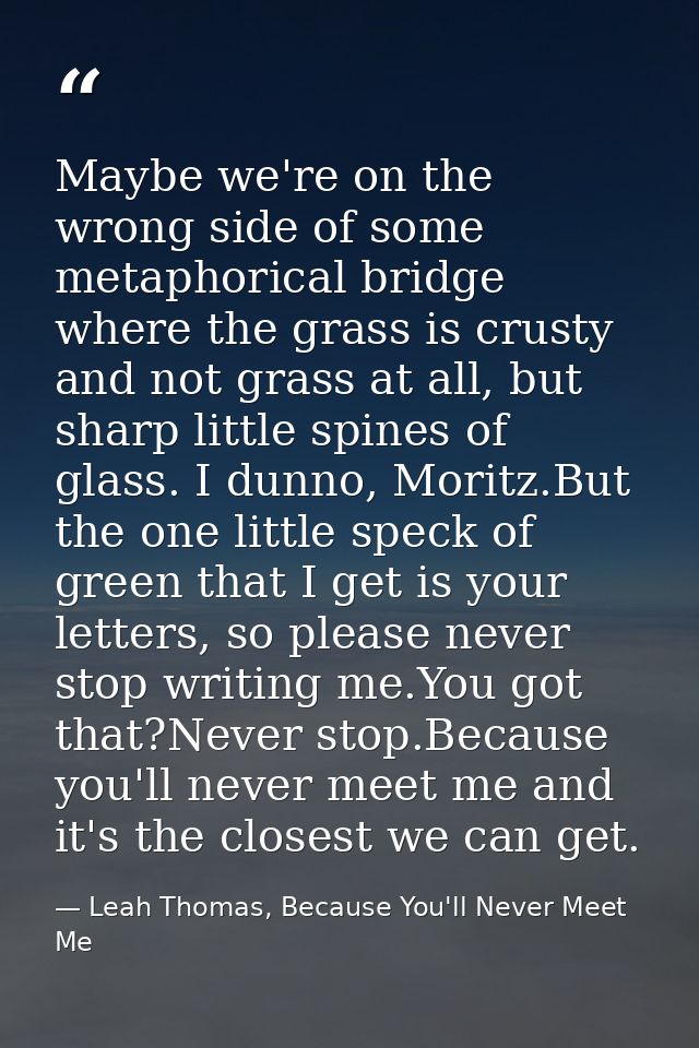 Maybe we're on the wrong side of some metaphorical bridge where the grass is crusty and not grass at all, but sharp litt — Leah Thomas, Because You'll Never Meet Me