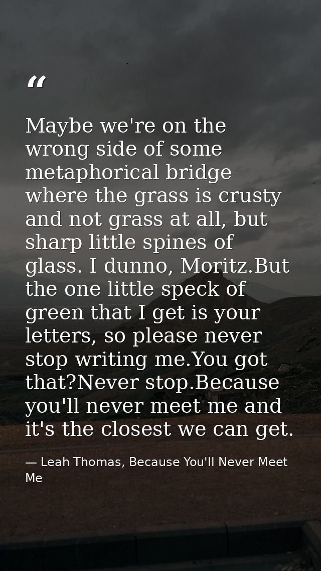 Maybe we're on the wrong side of some metaphorical bridge where the grass is crusty and not grass at all, but sharp litt — Leah Thomas, Because You'll Never Meet Me
