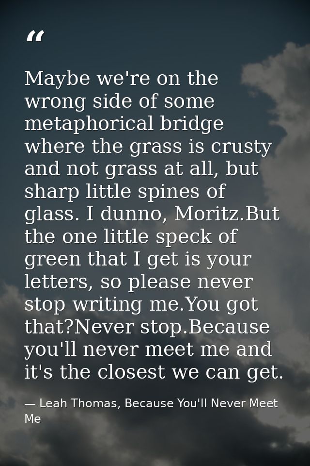 Maybe we're on the wrong side of some metaphorical bridge where the grass is crusty and not grass at all, but sharp litt — Leah Thomas, Because You'll Never Meet Me