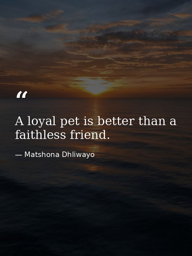 A loyal pet is better than a faithless friend. — Matshona Dhliwayo