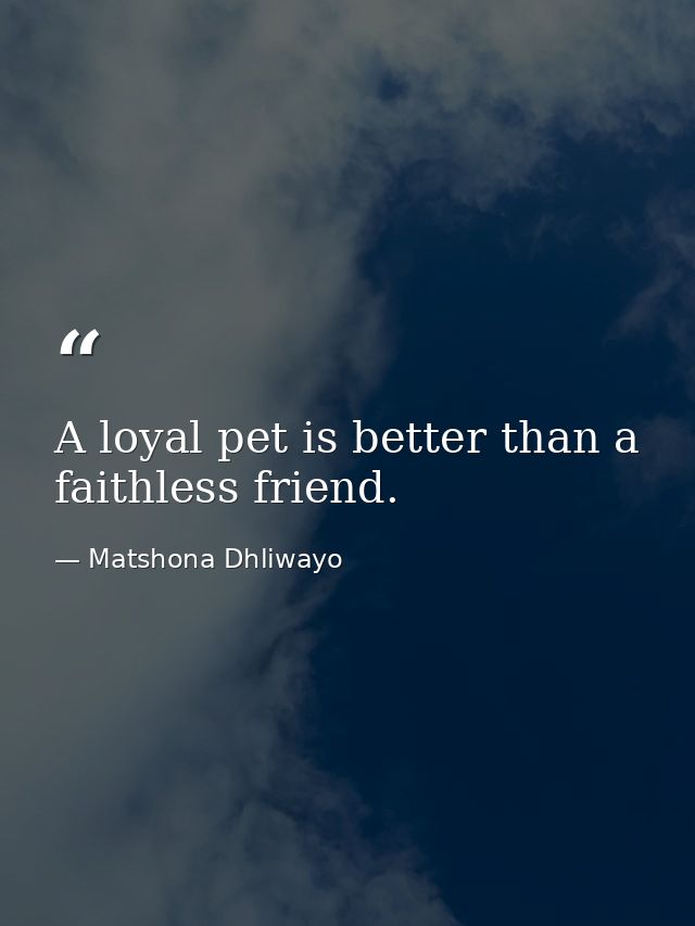 A loyal pet is better than a faithless friend. — Matshona Dhliwayo