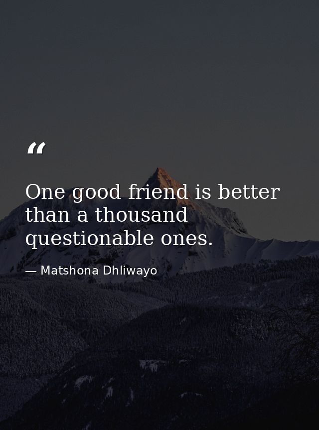 One good friend is better than a thousand questionable ones. — Matshona Dhliwayo