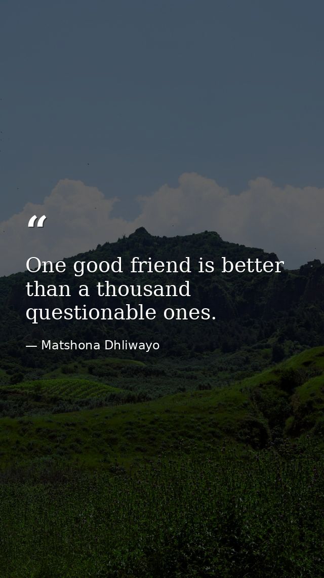 One good friend is better than a thousand questionable ones. — Matshona Dhliwayo