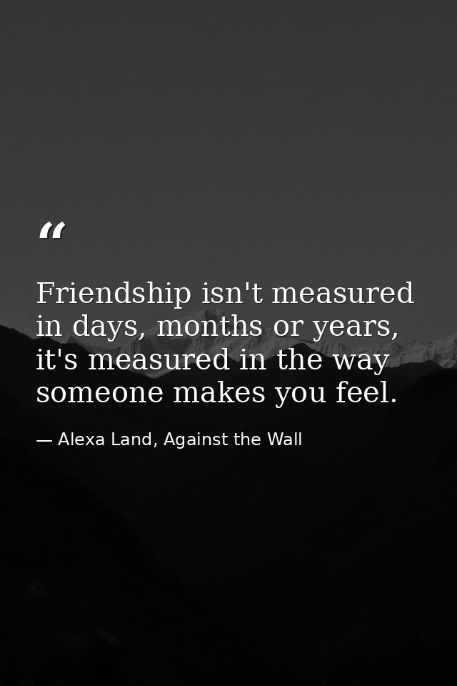 Friendship isn't measured in days, months or years, it's measured in the way someone makes you feel. — Alexa Land, Against the Wall