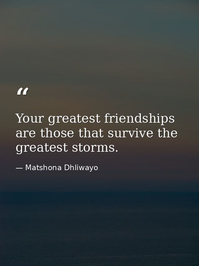 Your greatest friendships are those that survive the greatest storms. — Matshona Dhliwayo