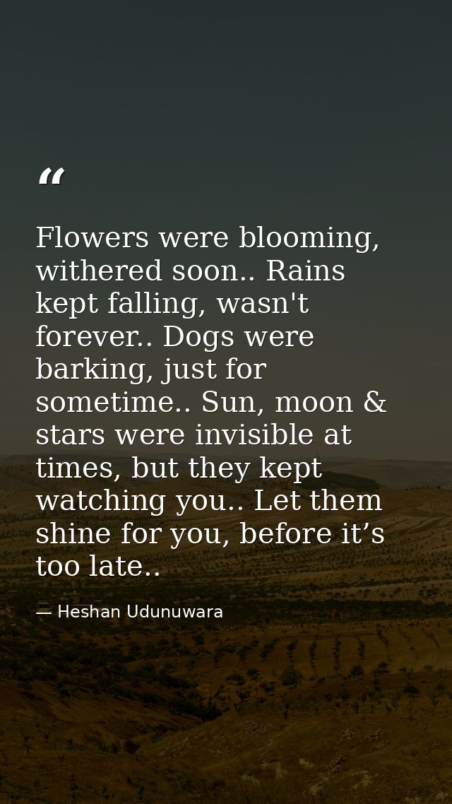Flowers were blooming, withered soon.. Rains kept falling, wasn't forever.. Dogs were barking, just for sometime.. Sun,  — Heshan Udunuwara