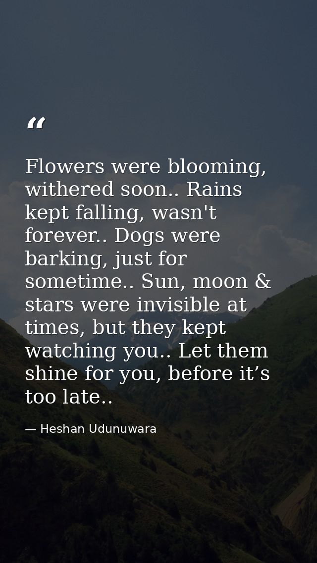 Flowers were blooming, withered soon.. Rains kept falling, wasn't forever.. Dogs were barking, just for sometime.. Sun,  — Heshan Udunuwara