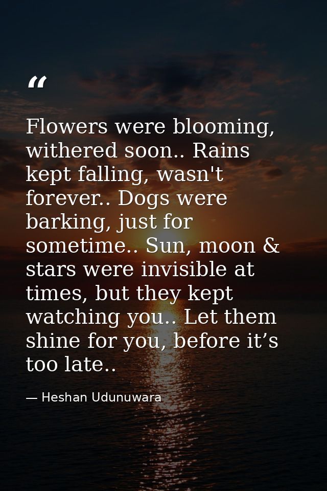 Flowers were blooming, withered soon.. Rains kept falling, wasn't forever.. Dogs were barking, just for sometime.. Sun,  — Heshan Udunuwara